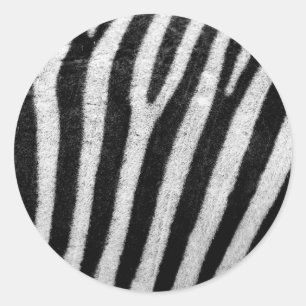 Adesivo Banheiras de Cabelo de Zebra Negra e Branca