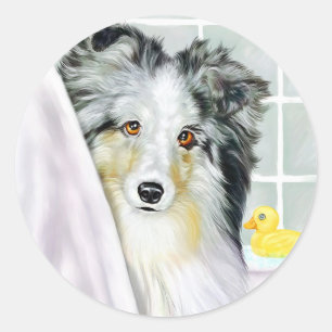Adesivo Banho azul de Merle Sheltie