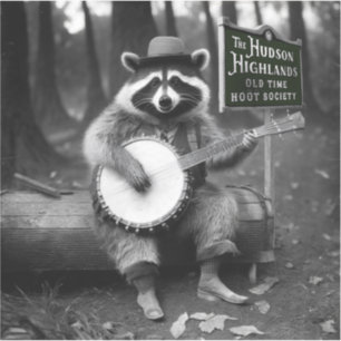 Adesivo Banjo Raccoon