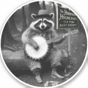 Adesivo Banjo Raccoon