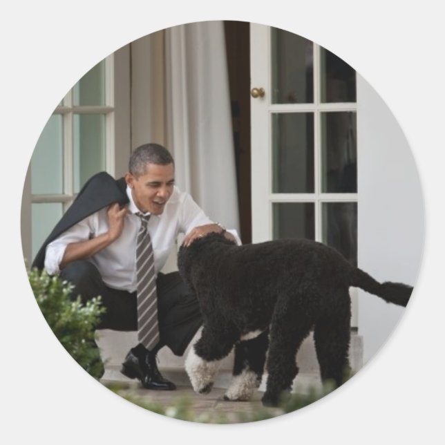 Adesivo Barack e Bo Obama (Frente)