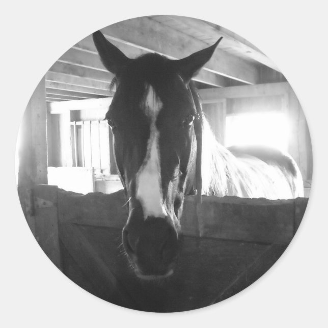 Adesivo Barn Horse (Frente)