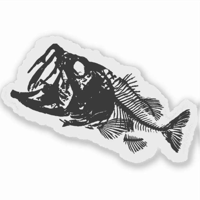 ADESIVO BASES E OSSOS (Frente)