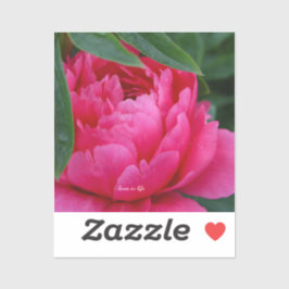 Adesivo Bashful Pink Peony