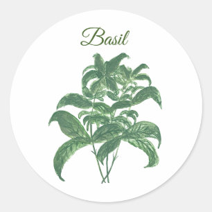 Adesivo Basil Herbs Greeneren Kitchen Green Plant
