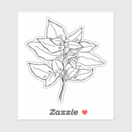 Adesivo Basil Sticker