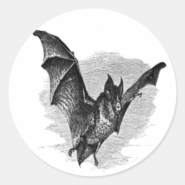 Adesivo Bat Sticker (Frente)