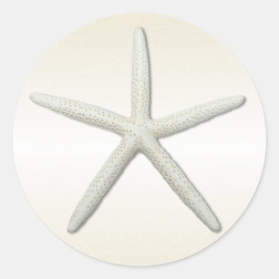 Adesivo Bayside Solteiro Starfish Champagne Round