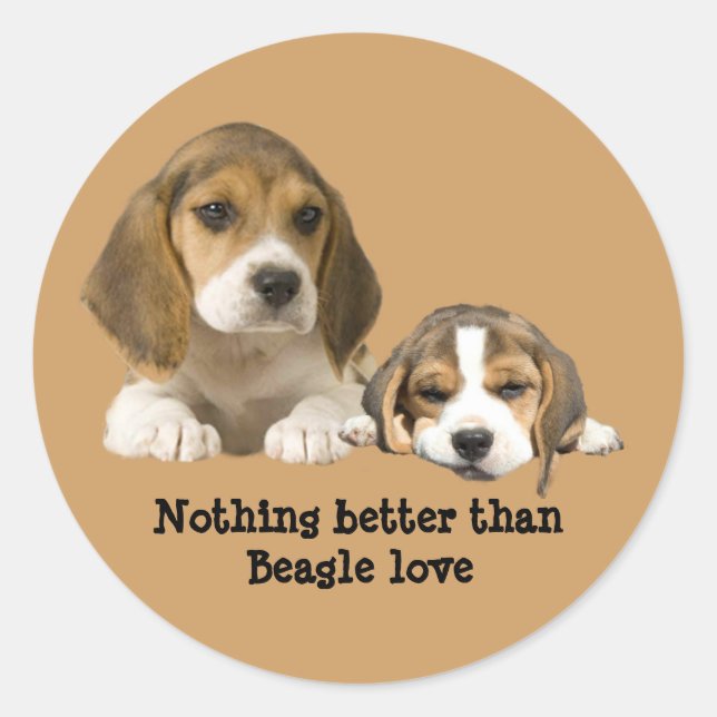 Adesivo Beagle Buddies Sticker (Frente)