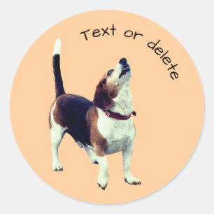 Adesivo Beagle Howling Dog Personalizado