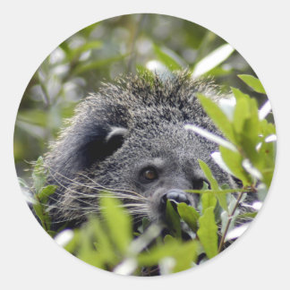 Adesivo Bearcat Stickers