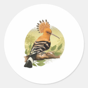 Adesivo Beautiful Hoopoe For Ornithologists