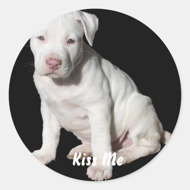 Adesivo Bebê White Pitbull (Frente)