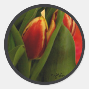Adesivo Becky's Tulips jGibney Signature Greenville SC The