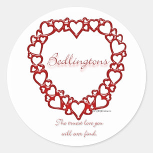 Adesivo Bedlington Terrier True Love - Sticker