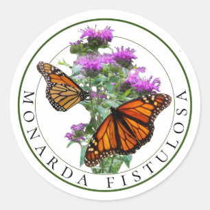 Adesivo Bee Balm e Monarch Butterflies