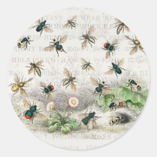 Adesivo Bee Honey Queen Bees Antique