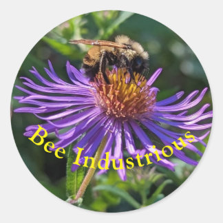 Adesivo Bee Industrious
