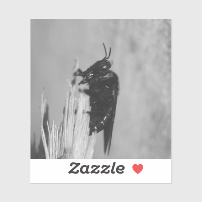 Adesivo Beija-flor (Folha)