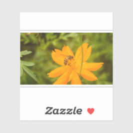 Adesivo Beija-flor em um Cosmos de Enxofre