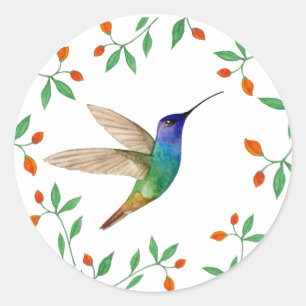 Adesivo Beija-flor Safira de Cauda Dourada em Branco