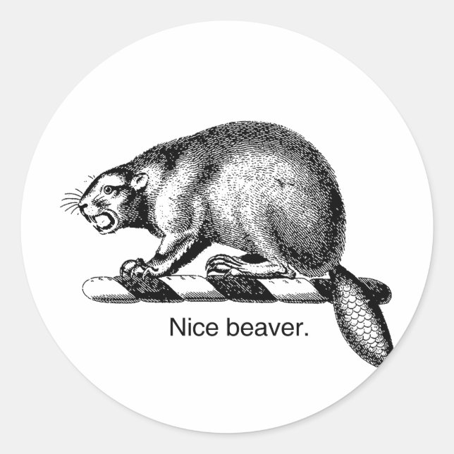 Adesivo BELA ARVORE -.png (Frente)