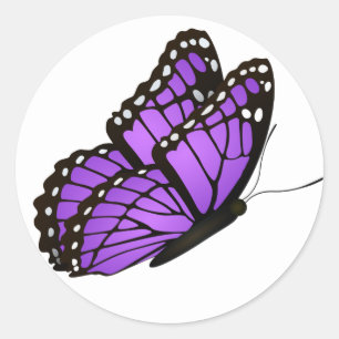 Adesivo Bela Borboleta Clássica Redonda Ilustrada