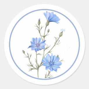 Adesivo Bela Chicória Flor Erva Azul Vinca Bonita
