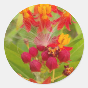 Adesivo Bela Estampa de Arte Floral Colorida com Flor de S