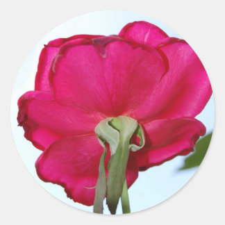 Adesivo Bela Flor Sticker