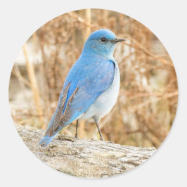 Adesivo Bela Montanha Bluebird