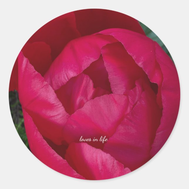 Adesivo Bela Peônia Vermelha em Flor  (Frente)