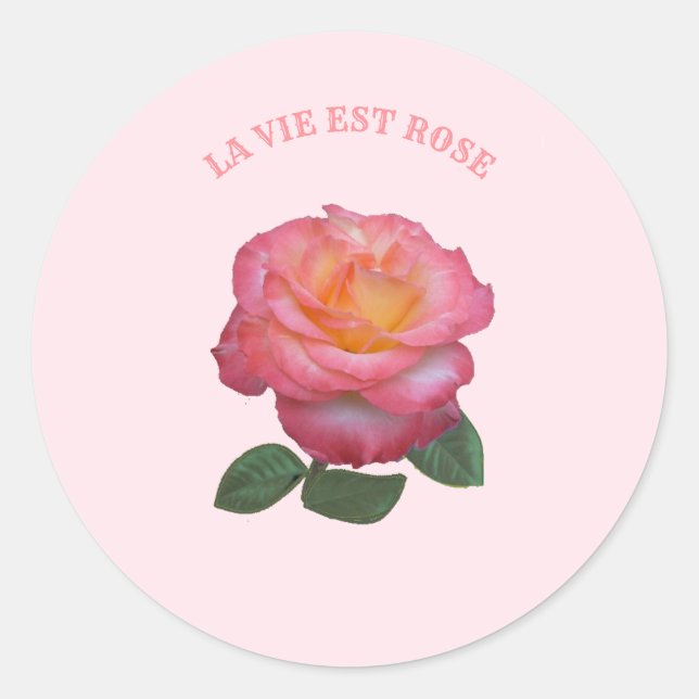 Adesivo Bela Rosa Rosa (Frente)