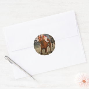 Adesivo Bela Surpresas de Cavalo Proprietários em Matéria