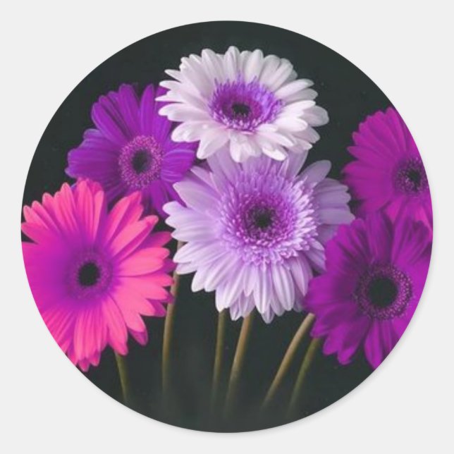 Adesivo Belas Focas De Presente Floral (Frente)