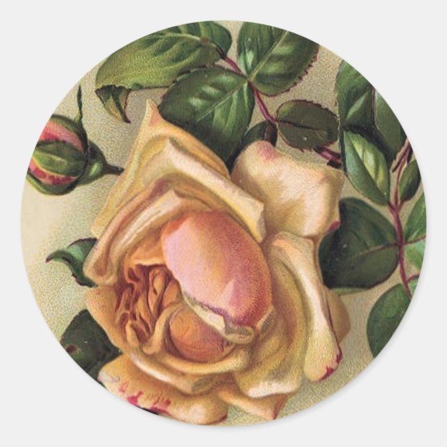 Adesivo *Belas Rosas Vintage* (Frente)