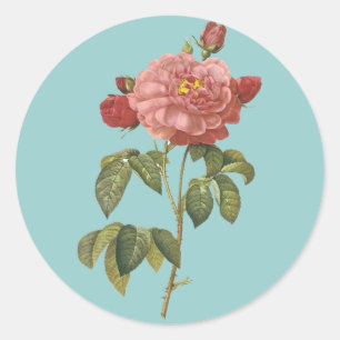 Adesivo Beleza Botânica Francesa *Flores Vintage*