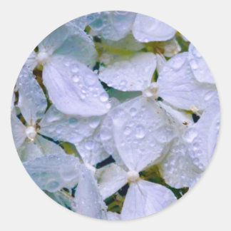 Adesivo Beleza Branca