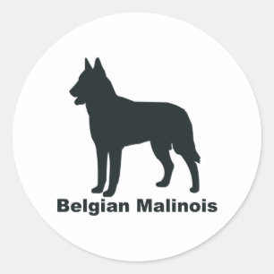Adesivo Belga Malinois
