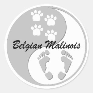 Adesivo belga Malinois de yang do yin