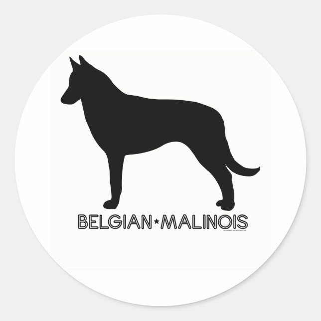 Adesivo Belga Malinois Sticker (Frente)
