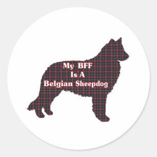 Adesivo belga Sheepdog BFF