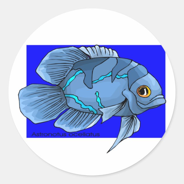 Adesivo Belo Azul Tropical Oscar Fish (Frente)