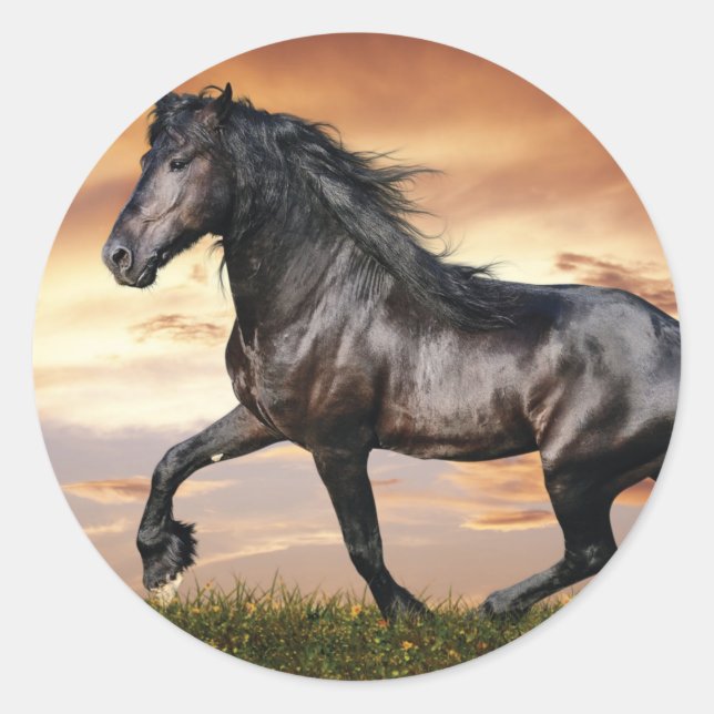 Adesivo Belo Cavalo Negro (Frente)