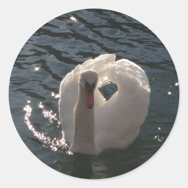 Adesivo Belo cisne branco (Frente)