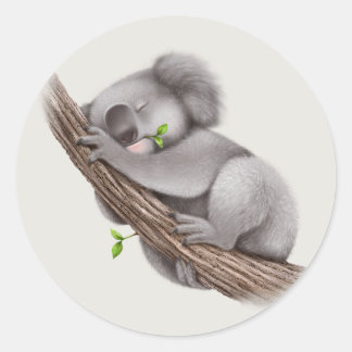 Adesivo Belo e elegante Urso Koala