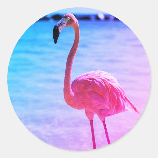 Adesivo Belo Flamingo na Água em uma Praia (Frente)
