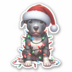 Adesivo Belo Pitbull de Natal