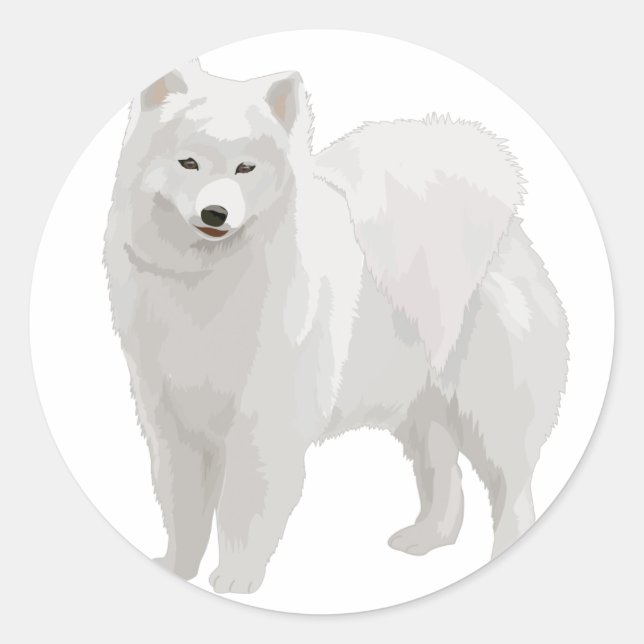Adesivo Belo Samoyed (Frente)
