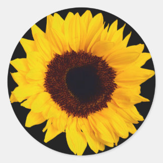Adesivo Belo Selo de Envelope Amarelo